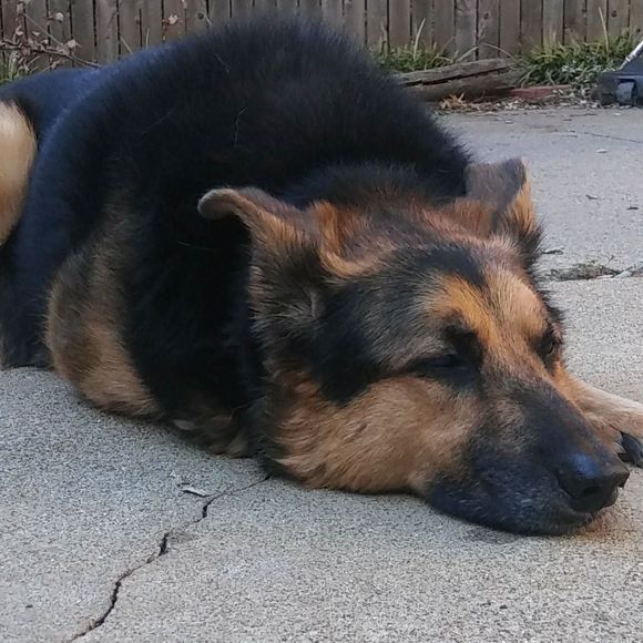 Meet your Posher, Cindy - Picture 1 of 1